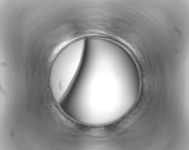 X0000091241363200708091123