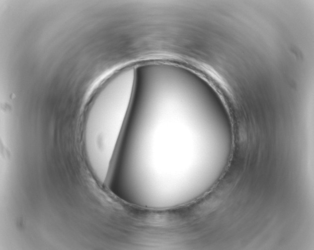 X0000091241364200708091123