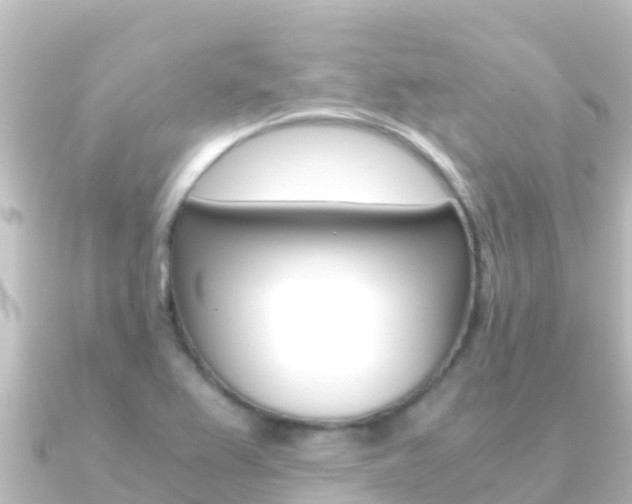 X0000091241367200708091123