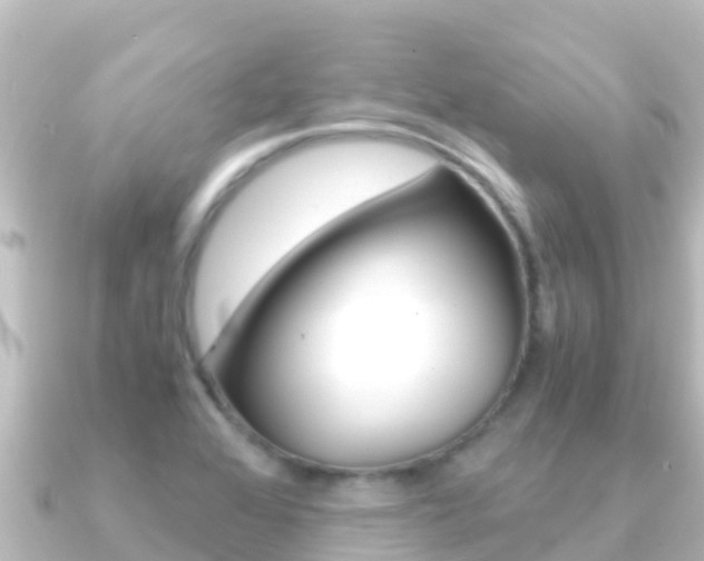 X0000091241368200708091123
