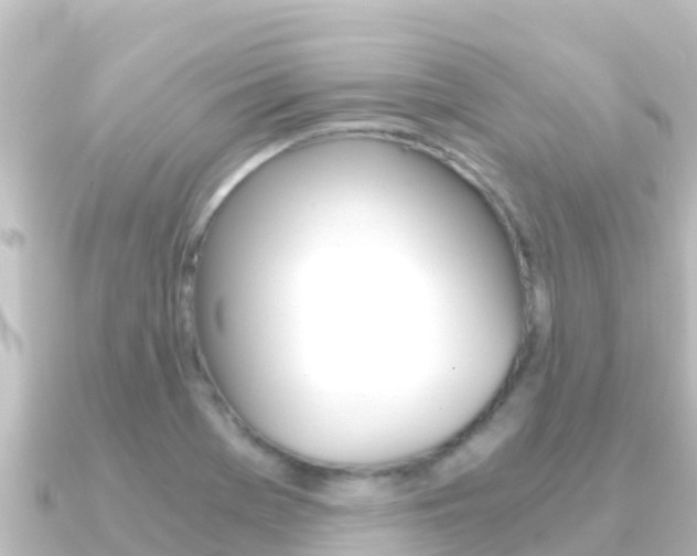 X0000091241369200708091123