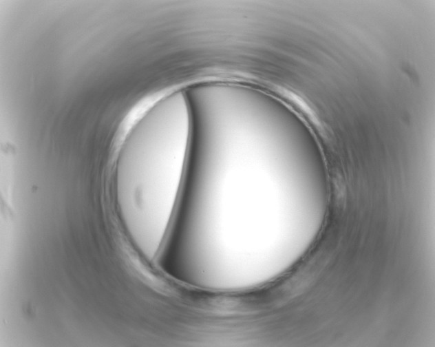 X0000091241371200708091123