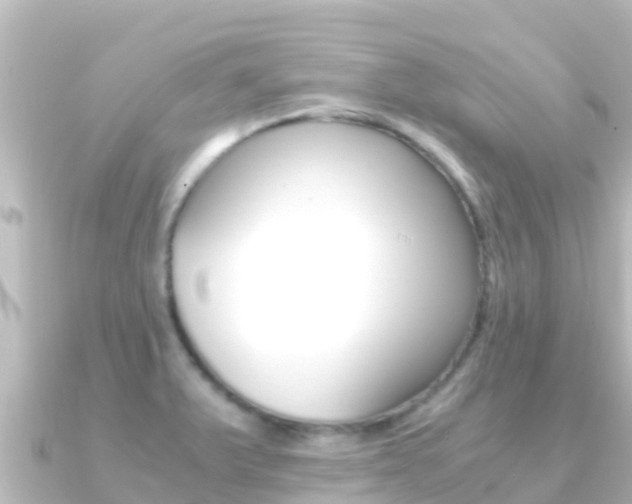 X0000091241375200708091123