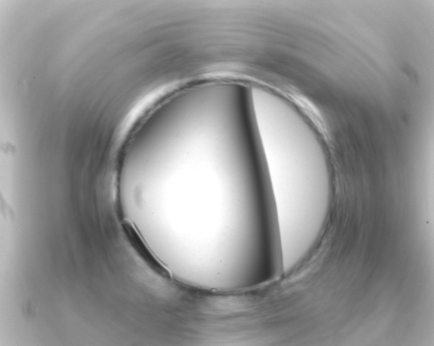 X0000091241376200708091123