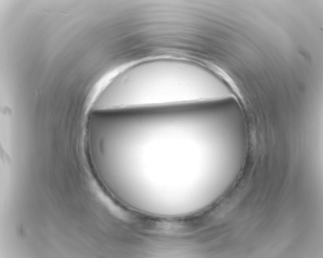 X0000091241379200708091123