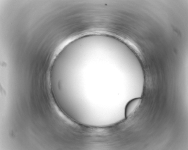X0000091241382200708091123