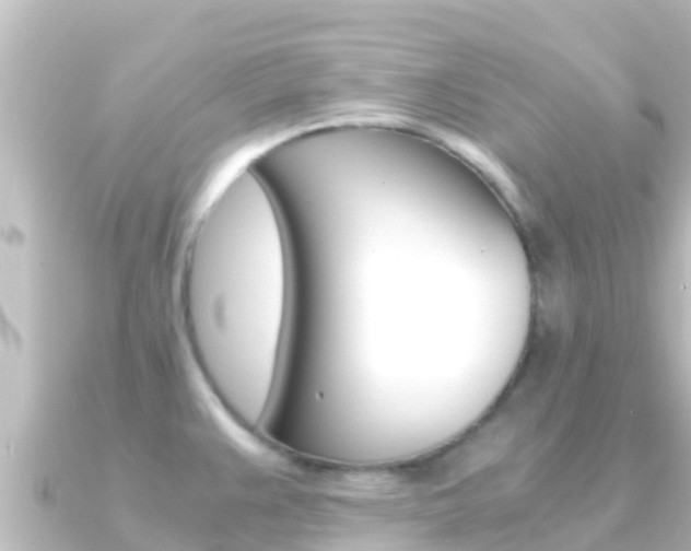 X0000091241383200708091123