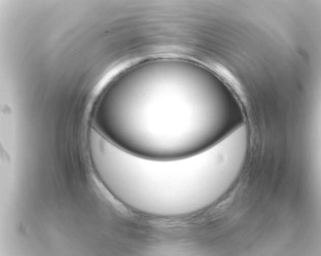 X0000091241384200708091123
