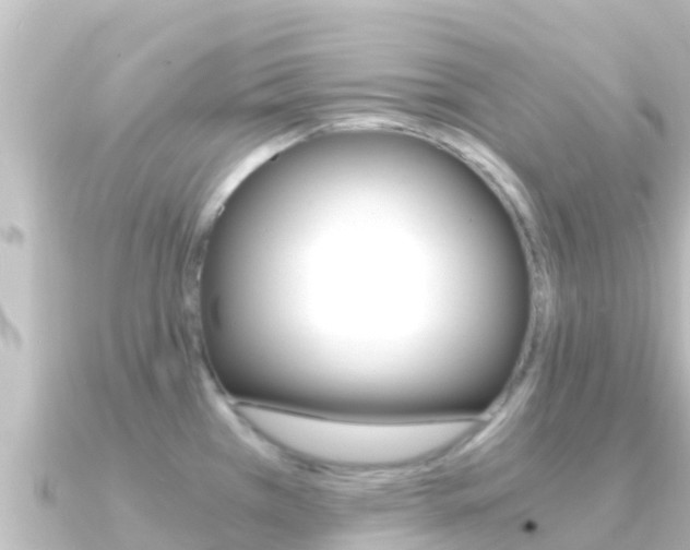 X0000091241385200708091123