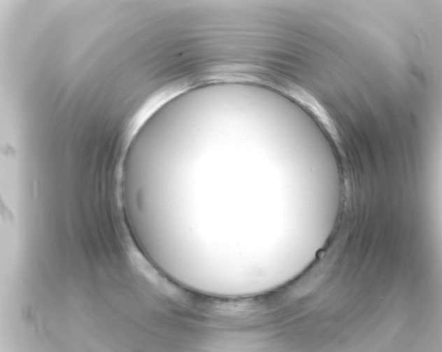 X0000091241386200708091123