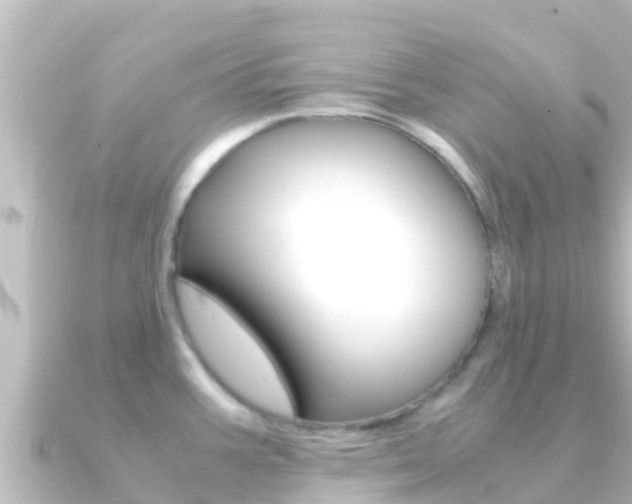 X0000091241387200708091123