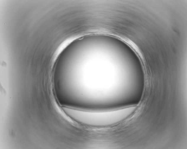 X0000091241389200708091123