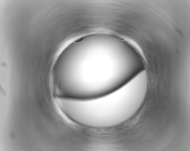 X0000091241391200708091123