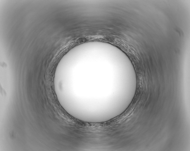 X0000091241393200708091123