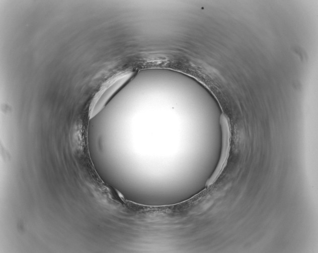 X0000091241394200708091123