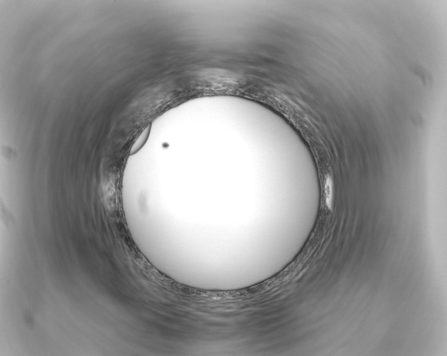 X0000091241395200708091123