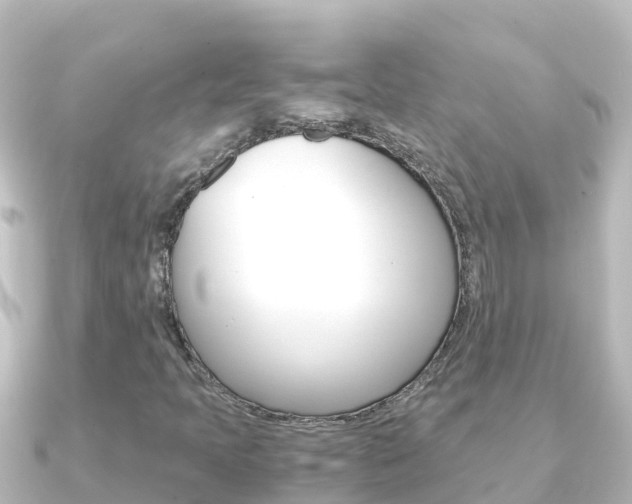 X0000091241397200708091123