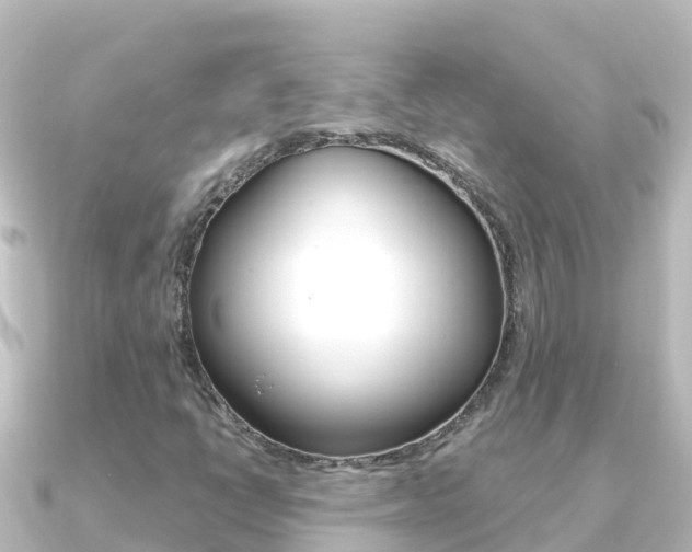 X0000091241398200708091123
