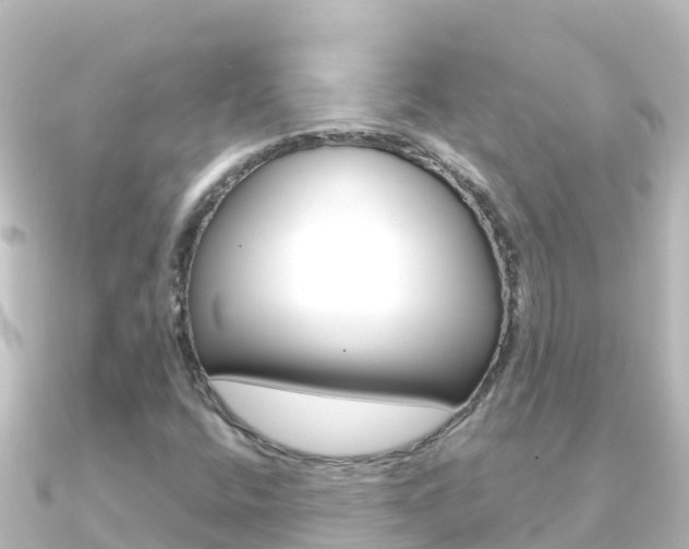 X0000091241400200708091123
