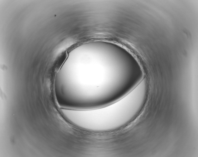X0000091241402200708091123