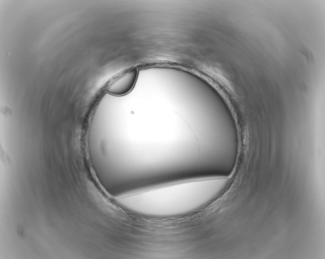 X0000091241404200708091123