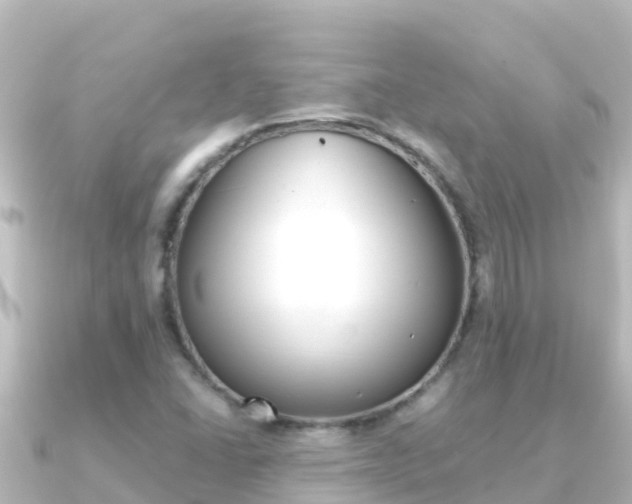 X0000091241406200708091123