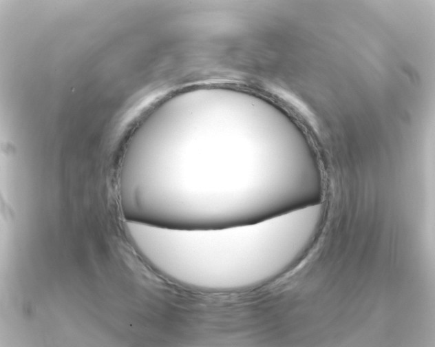 X0000091241407200708091123