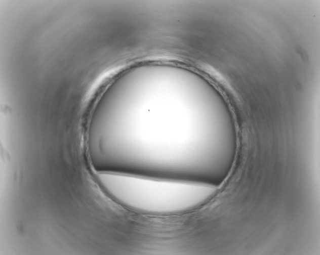 X0000091241408200708091123