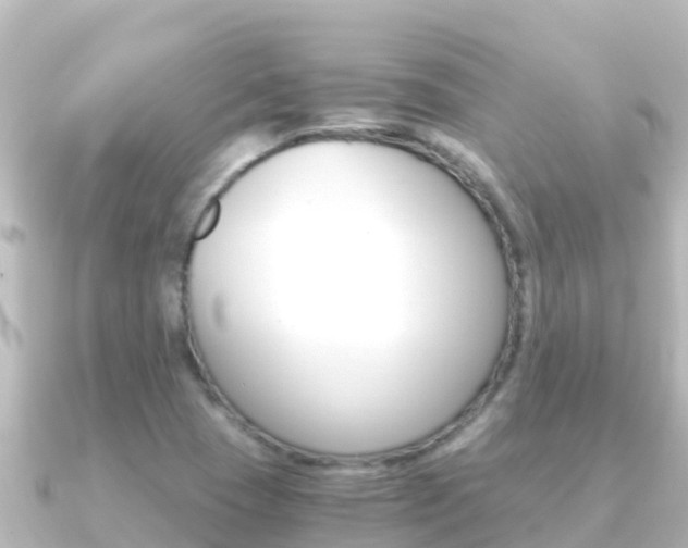 X0000091241409200708091123