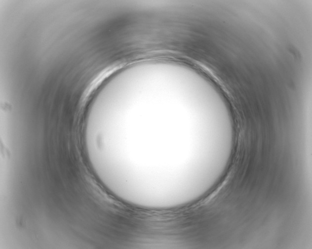 X0000091241410200708091123