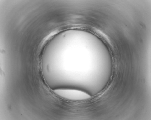 X0000091241411200708091123