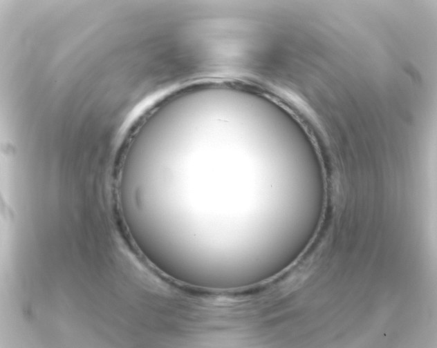 X0000091241412200708091123