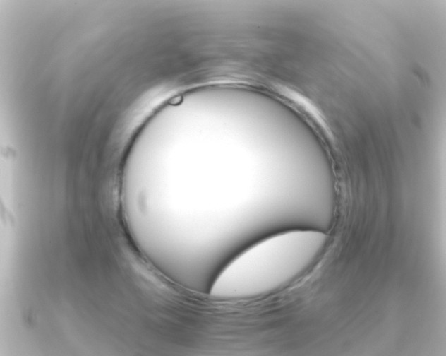 X0000091241415200708091123