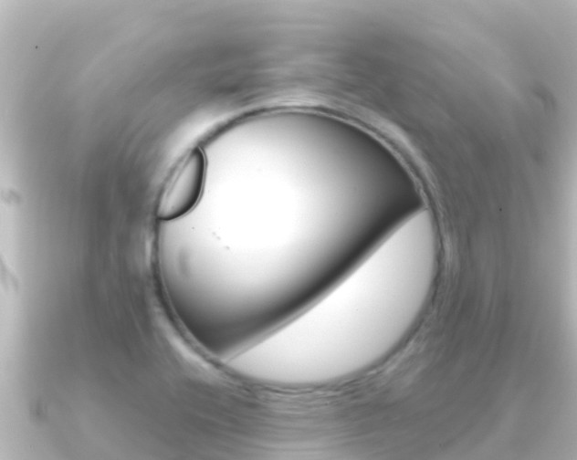 X0000091241416200708091123