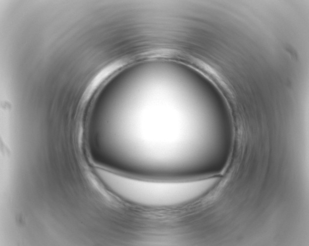 X0000091241418200708091123