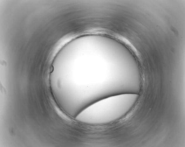 X0000091241421200708091123