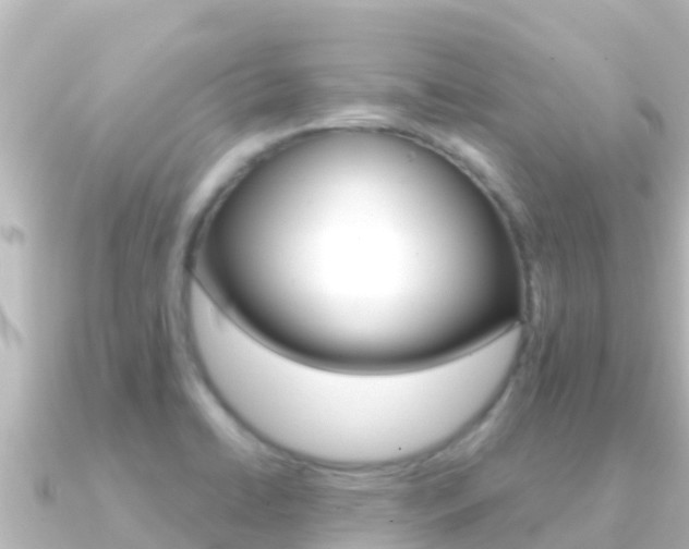 X0000091241422200708091123