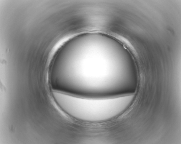 X0000091241424200708091123