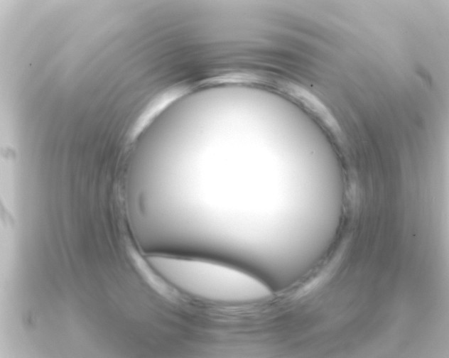 X0000091241425200708091123