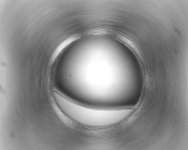 X0000091241426200708091123