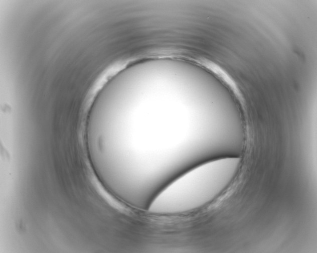 X0000091241429200708091123