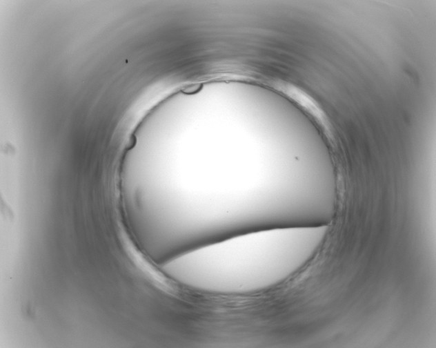 X0000091241431200708091123