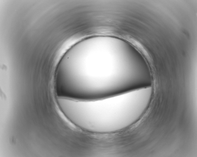 X0000091241432200708091123