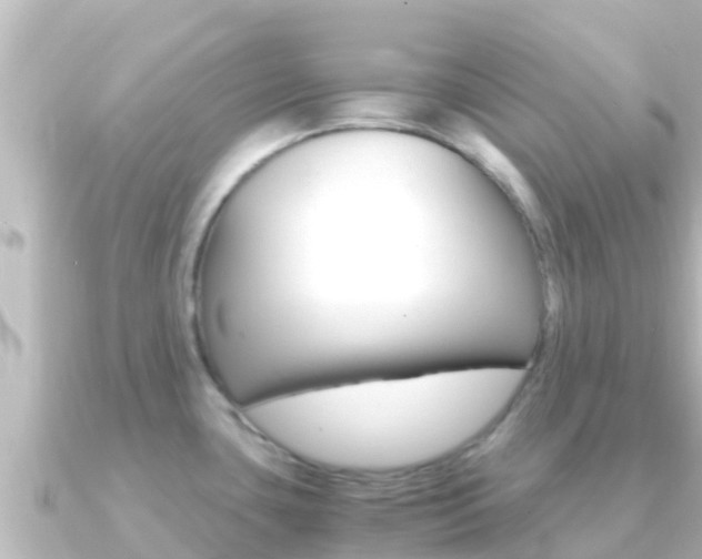 X0000091241435200708091123