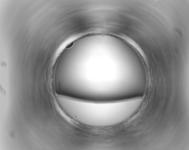 X0000091241437200708091123