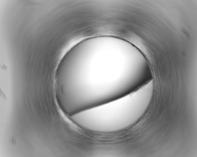 X0000091241439200708091123