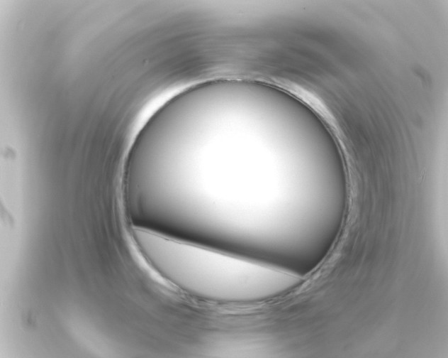 X0000091241440200708091123