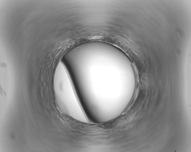 X0000091241441200708091123