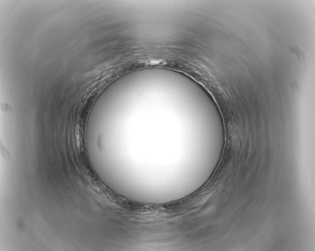 X0000091241442200708091123