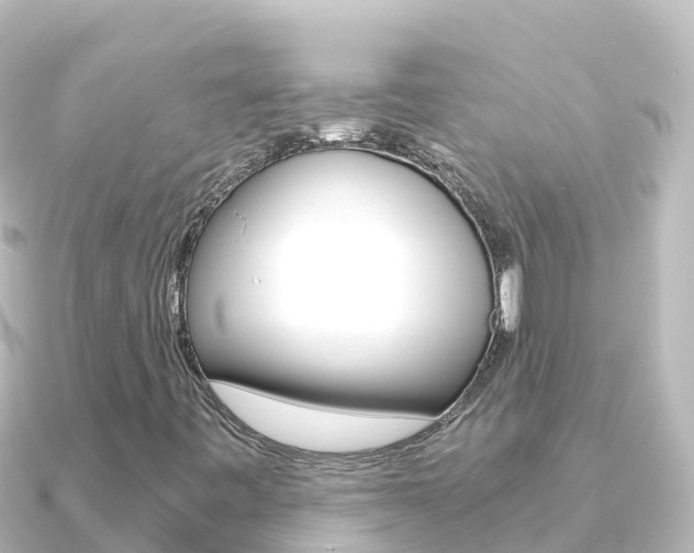 X0000091241443200708091123